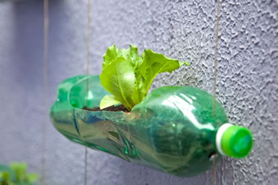 DIY Vertical Garden on wall
